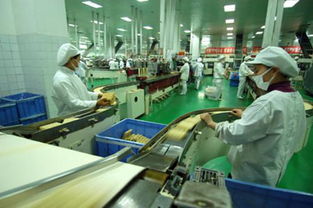 天津首个专业化食品产业综合体——汇成国际食品商贸城正式开业运营